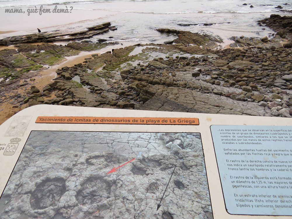 Las Huellas De Dinosaurio De La Playa De La Griega Asturias Mama las-huellas-de-dinosaurio-de-la-playa-de-la-griega-asturias-mama